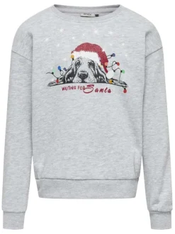 Sweat gris imprimé d'un chien de noël avec une coupe droite à col rond