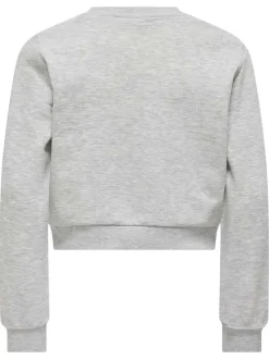 Sweat gris uni avec une coupe droite à col rond et des manches longues