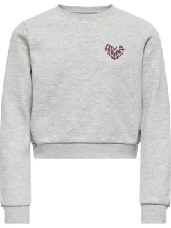 Sweat gris uni avec une coupe droite à col rond et des manches longues
