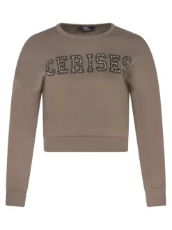 Sweat marron à col rond et manches longues orné d'un imprimé léopard