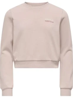 Sweat rose uni avec une coupe droite à col rond et des manches longues