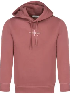 Sweat à capuche brique uni avec une coupe droite et nom de la marque