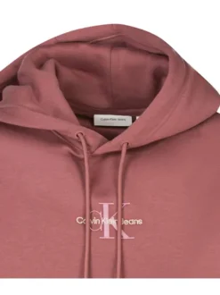 Sweat à capuche brique uni avec une coupe droite et nom de la marque
