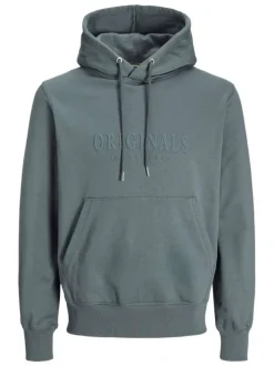 Sweat à capuche en coton mélangé bleu uni avec une coupe droite