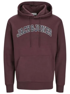 Sweat à capuche en coton mélangé bordeaux uni à coupe droite imprimé