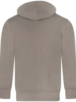 Sweat à capuche en coton mélangé taupe uni avec une coupe droite et logo