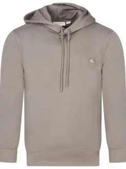 Sweat à capuche en coton mélangé taupe uni avec une coupe droite et logo