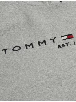 Sweat à capuche gris chiné avec logo brodé sur l'extrémité de la manche gauche