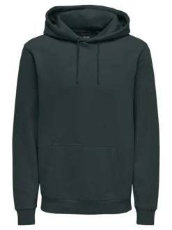Sweat à capuche vert sapin uni à coupe droite avec une poche à l'avant