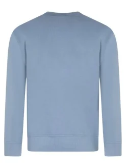 Sweat en coton bleu clair uni avec une coupe droite et un col rond