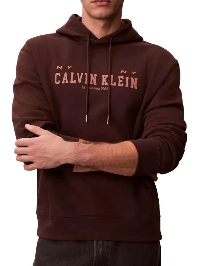 Sweat en coton brun uni avec une coupe droite et une capuche