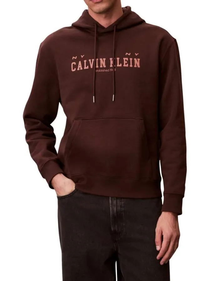 Sweat en coton brun uni avec une coupe droite et une capuche