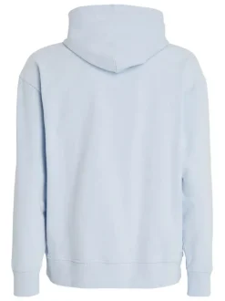 Sweat en coton ciel uni avec une coupe droite et un col à capuche