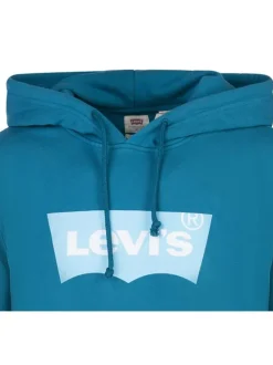 Sweat en coton turquoise avec un col à capuche et des manches longues