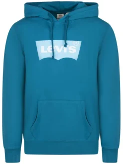 Sweat en coton turquoise avec un col à capuche et des manches longues