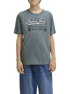 T-shirt en coton gris imprimé avec un col rond et une coupe droite