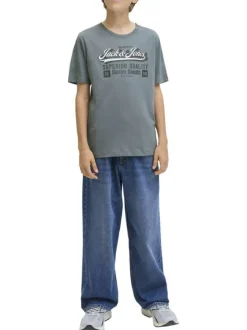 T-shirt en coton gris imprimé avec un col rond et une coupe droite