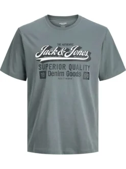T-shirt en coton gris imprimé avec un col rond et une coupe droite