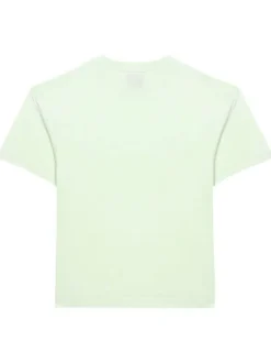 T-shirt en coton vert d'eau avec un fondu clair coupe droite et un col rond