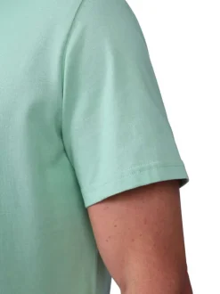 T-shirt en coton biologique vert d'eau uni avec une coupe droite et un col rond