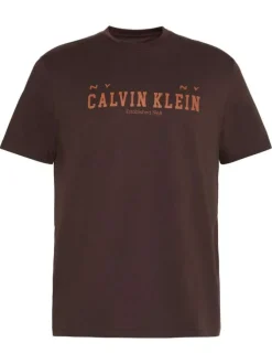 T-shirt en coton brun uni avec une coupe droite et un col rond