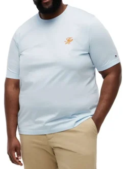 T-shirt en coton ciel uni pourvu d'un col rond et de manches courtes