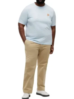 T-shirt en coton ciel uni pourvu d'un col rond et de manches courtes