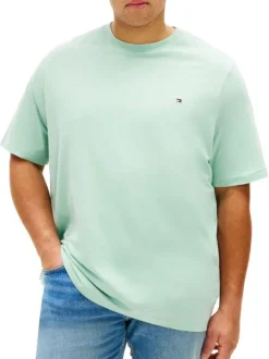 T-shirt en coton pistache uni avec une coupe droite et un col rond
