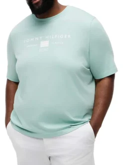 T-shirt en coton pistache uni pourvu d'un col rond et d'une coupe droite
