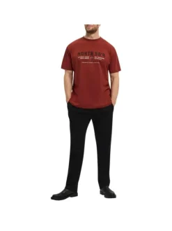 T-shirt en coton rouge brique chiné avec un imprimé et un col rond