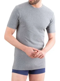 T-shirt gris uni en coton premium avec manches courtes et col rond